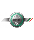 BENELLI FILTROS ACEITE HIFLOFILTRO