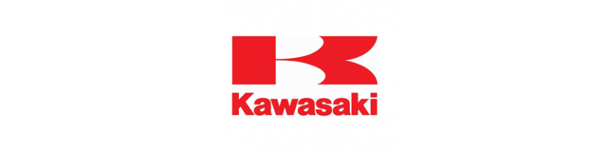 CARENADOS KAWASAKI