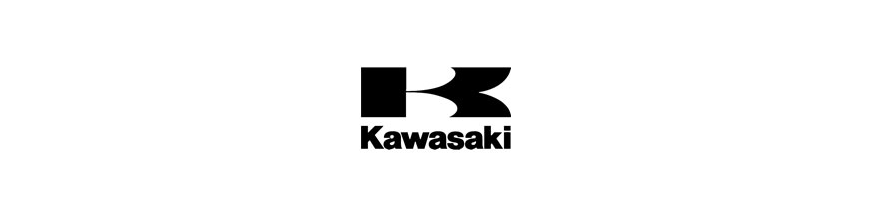 KAWASAKI BARRACUDA KAWASAKI BARRACUDA