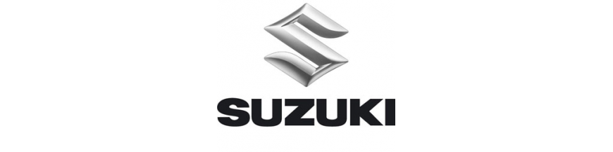 SUZUKI PUIG