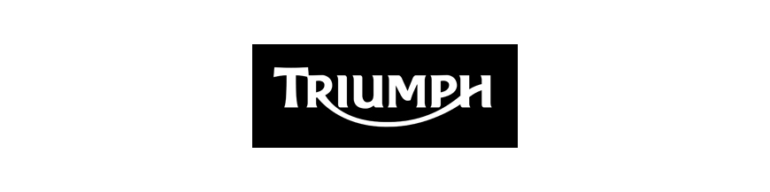 TRIUMPH AMORTIGUADORES TRIUMPH AMORTIGUADORES