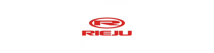 RIEJU RODILLOS VARIADOR RIEJU RODILLOS VARIADOR
