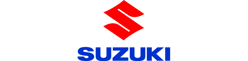 SUZUKI ESCAPES STORM