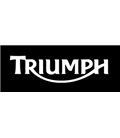 TRIUMPH RETENES HORQUILLAS