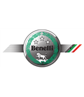 BENELLI EMBRAGUE MALOSSY FLY