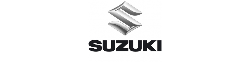 SUZUKI PUIG