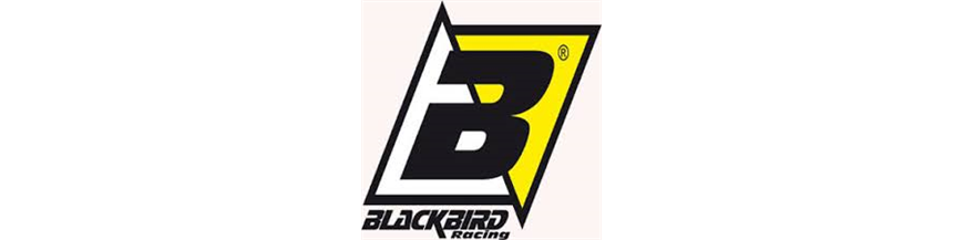 OTROS BLACKBIRD RACING