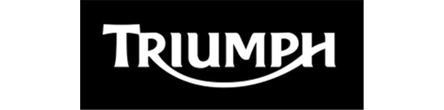 TRIUMPH R FIGHTER TRIUMPH R FIGHTER