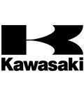 KAWASAKI DIABOLOS PROTECTORES