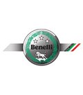 BENELLI DISCOS DELANTEROS BREMBO