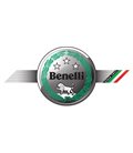 BENELLI RS2 PUIG