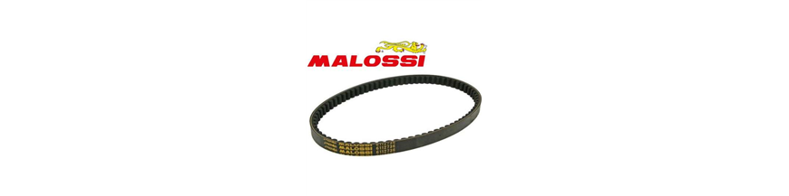 CORREAS MALOSSI SCOOTER CORREAS MALOSSI SCOOTER