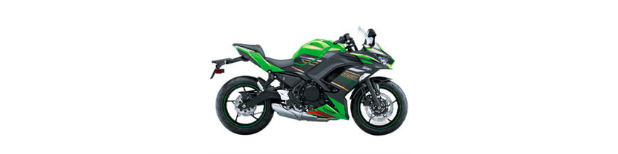 KAWASAKI NINJA 650 (2020)