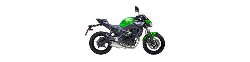 KAWASAKI Z 650 (2020)