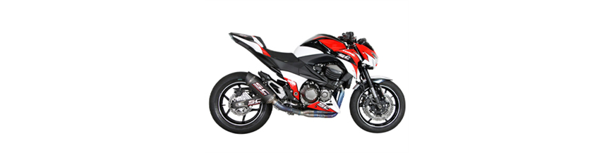 KAWASAKI Z 800 e version (2012 - 2016) KAWASAKI Z 800 e version (2012 - 2016)