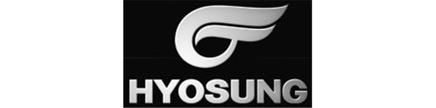 HYOSUNG SCOOTER/ATV
