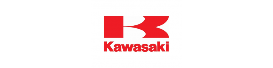 Cúpulas Kawasaki Cúpulas Kawasaki