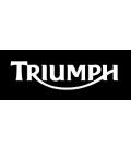 TRIUMPH HI TECH PUIG