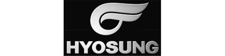 HYOSUNG RS1 PUIG HYOSUNG RS1 PUIG