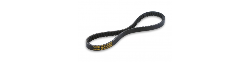 CORREAS MALOSSI CORREAS MALOSSI