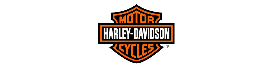 HARLEY DAVIDSON AKRAPOVIC