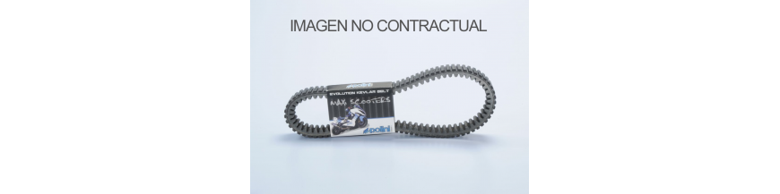 CORREAS VARIADOR POLINI CORREAS VARIADOR POLINI