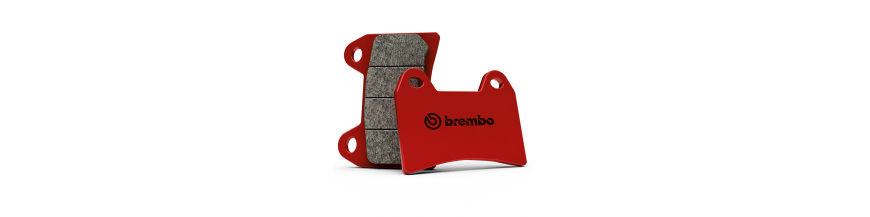 DELANTERAS SINTETIZADAS BREMBO